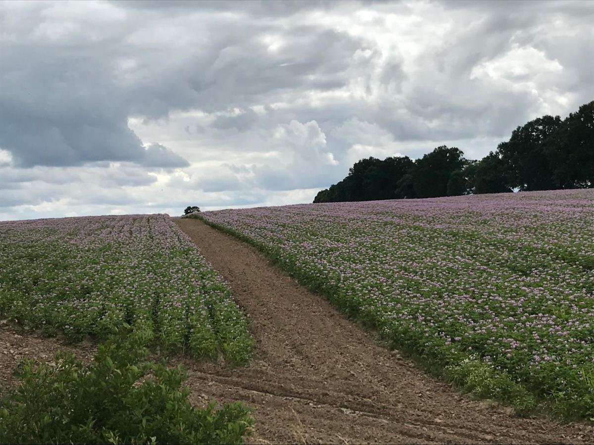 Appartamento Mazur 35 Szyldak Esterno foto
